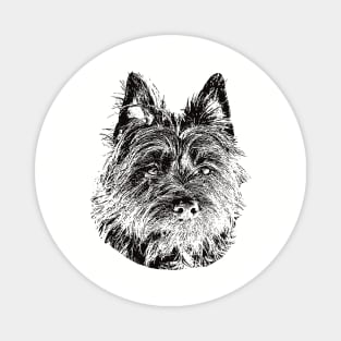 Cairn Terrier gift for Cairn Owners Magnet